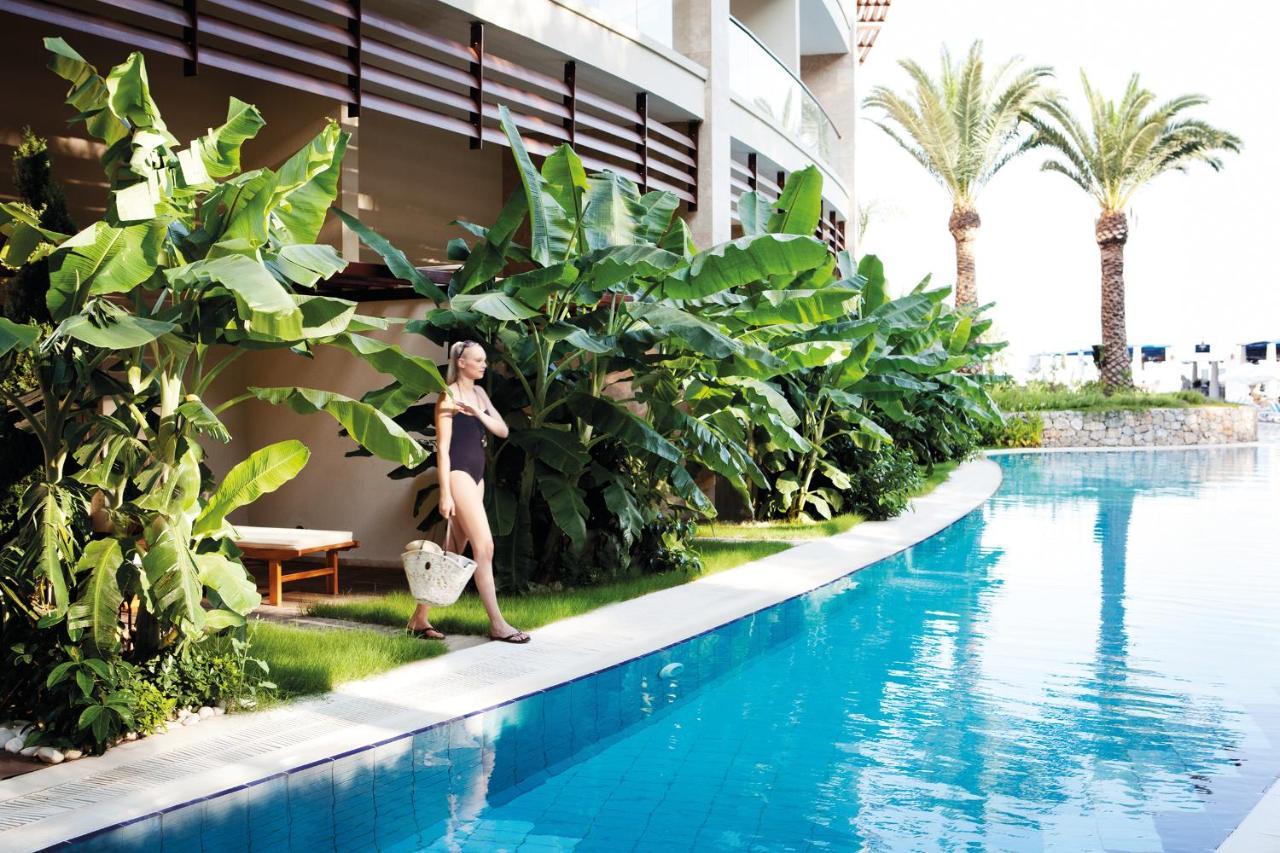 Standard Room Pool Access Adult Only,1027722226:JPEG
